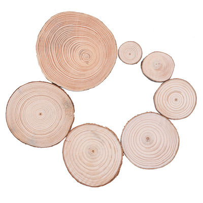 Rebanadas de madera naturales de los artes de madera inacabados del registro el 12cm de la corteza