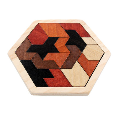 Rompecabezas de madera hexagonales de Montessori de los niños