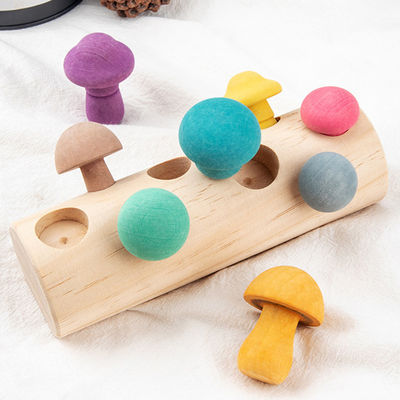 Juego de madera de la cosecha de la seta de la forma de desarrollo educativa