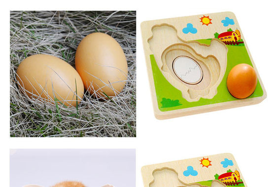 rompecabezas multi de madera de la capa del proceso del crecimiento del pollo 3D
