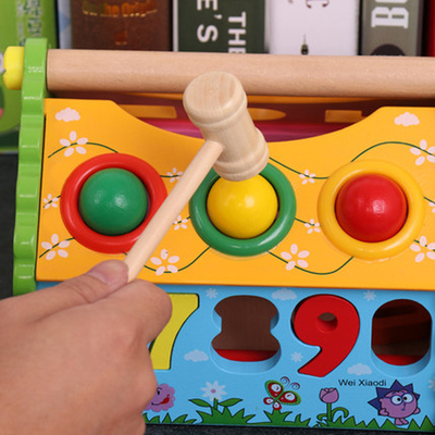 Los niños forman la casa Montessori de madera de la sabiduría del clasificador brillante